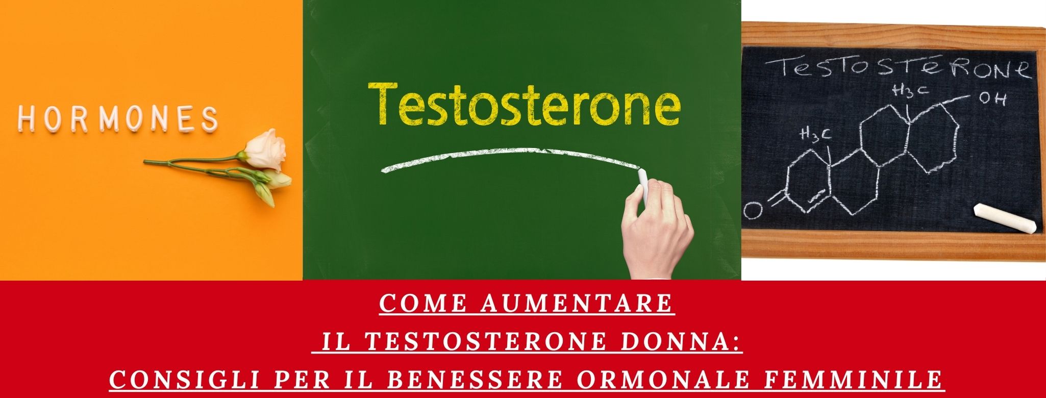 Come Aumentare Il Testosterone Donna Consigli Per Il Benessere